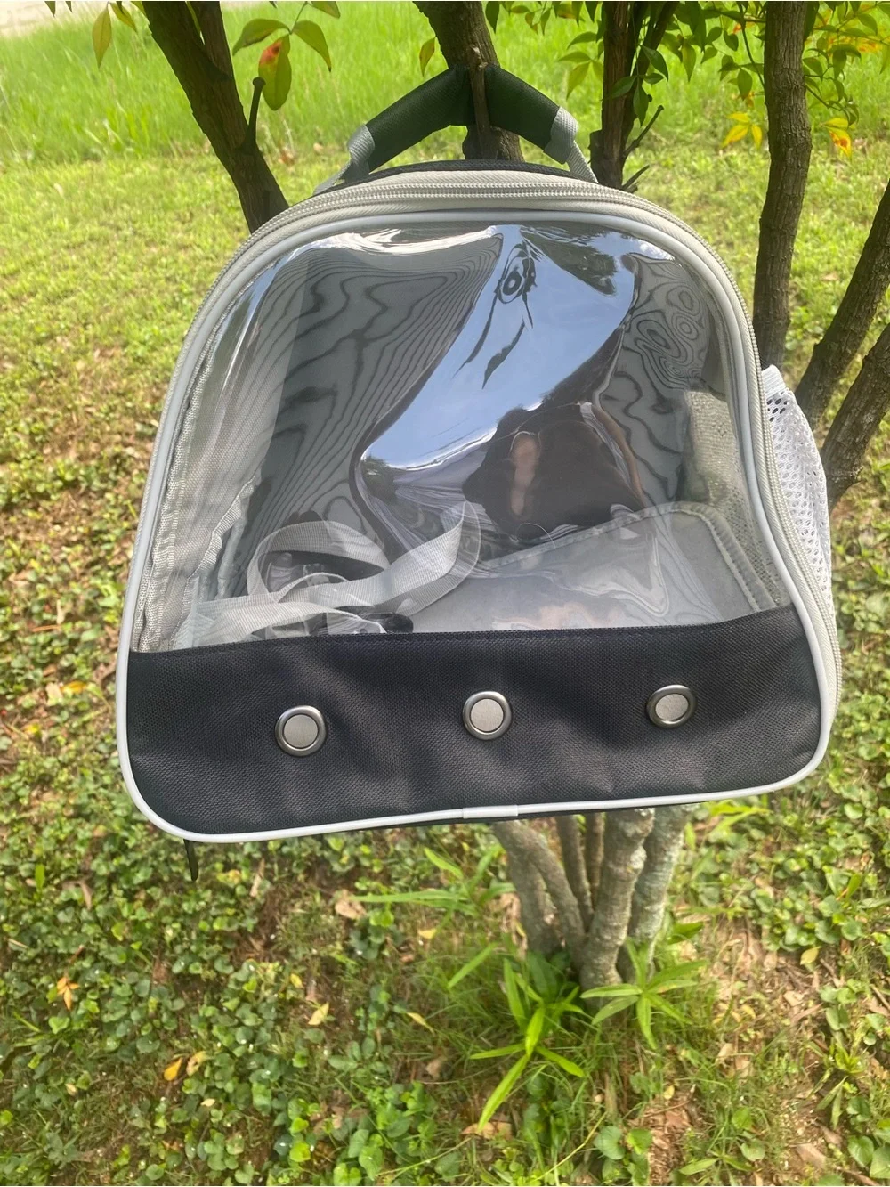 Pet carrier for small pet